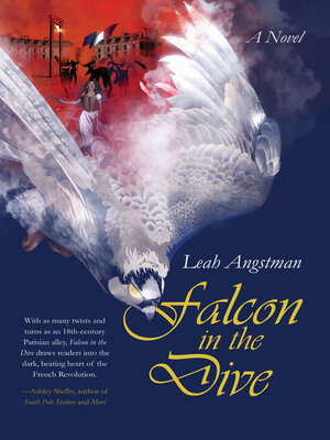 cover image of Falcon in the Dive